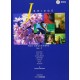 J.BRIDGE FOR BEGINNERS Vol.1 (2nd)